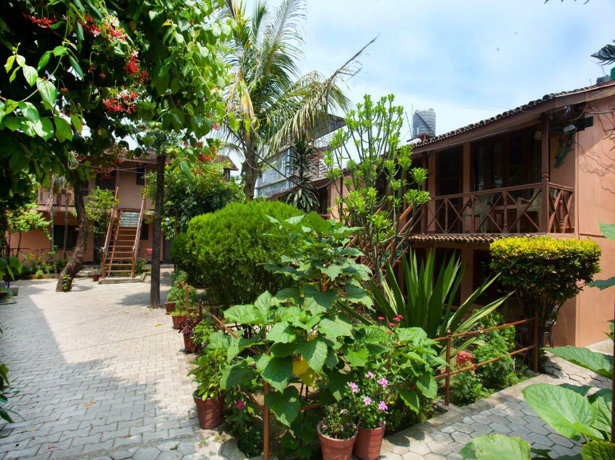 Spot On 486 Hotel Holy Lodge Sauraha Dış mekan fotoğraf